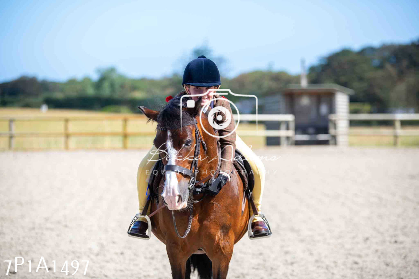 Home Farm Annual Show -Ridden Showing 20th August 2023