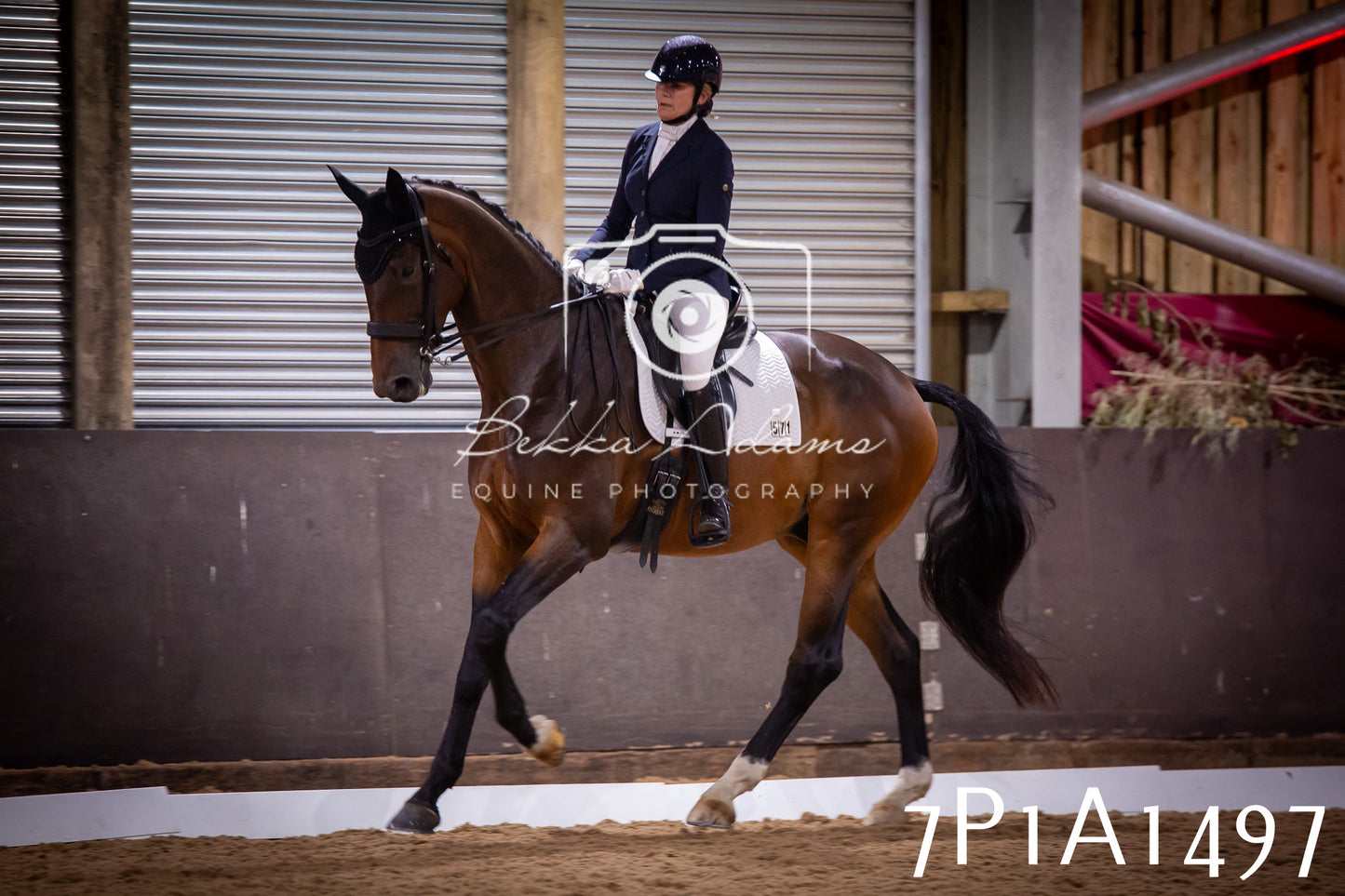 JHOYS 2025 - Dressage - 14th September pt2