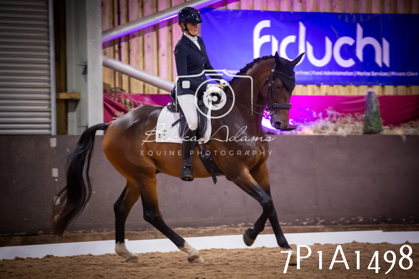 JHOYS 2025 - Dressage - 14th September pt2