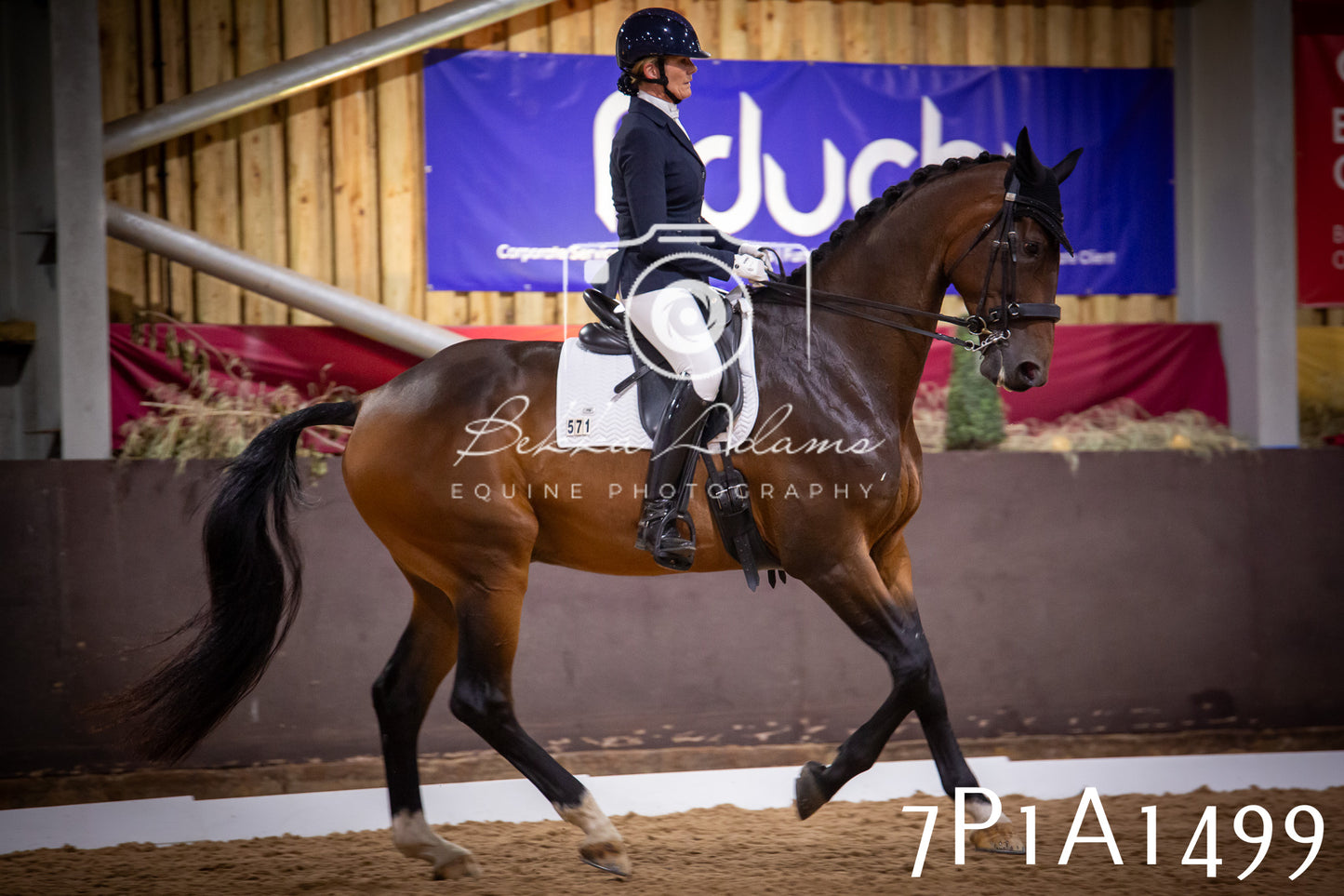 JHOYS 2025 - Dressage - 14th September pt2