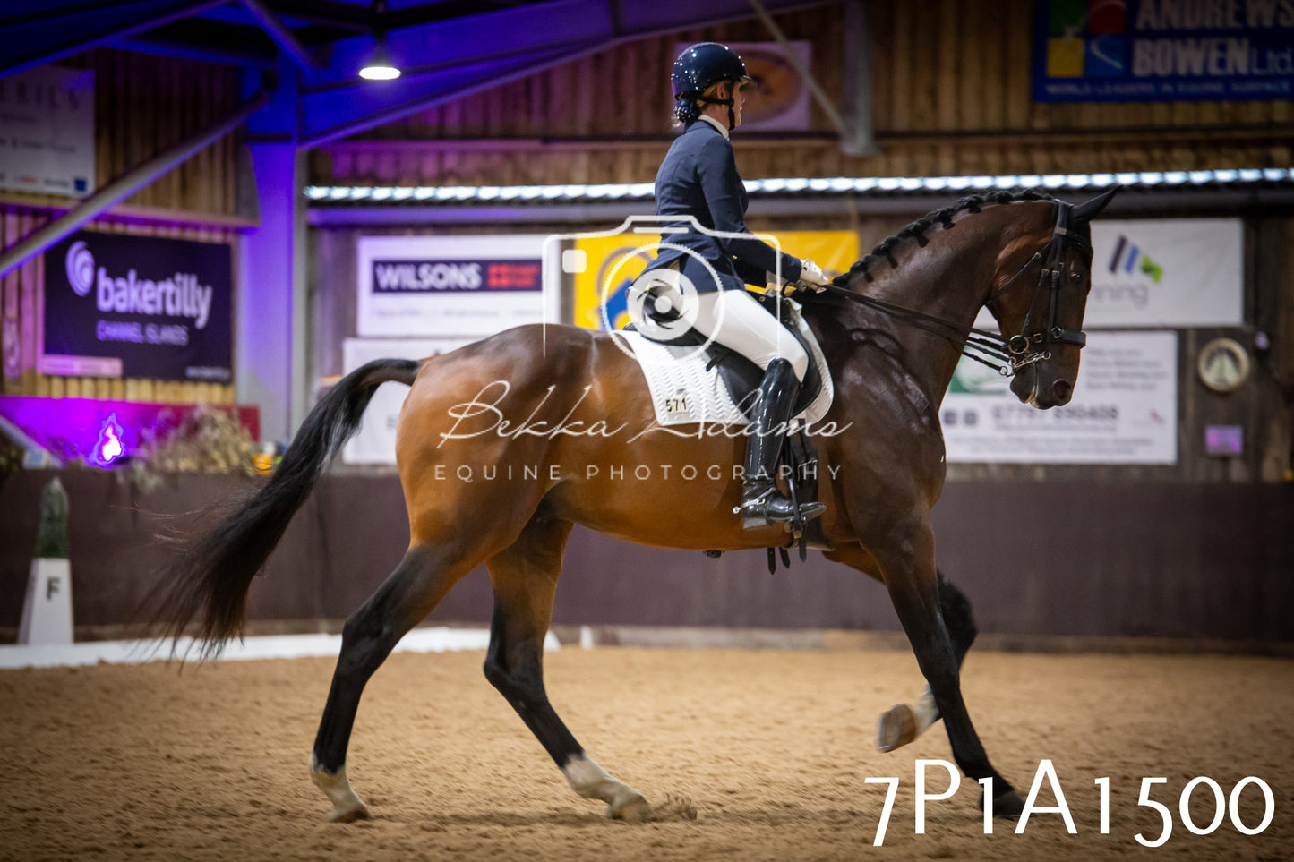 JHOYS 2025 - Dressage - 14th September pt2