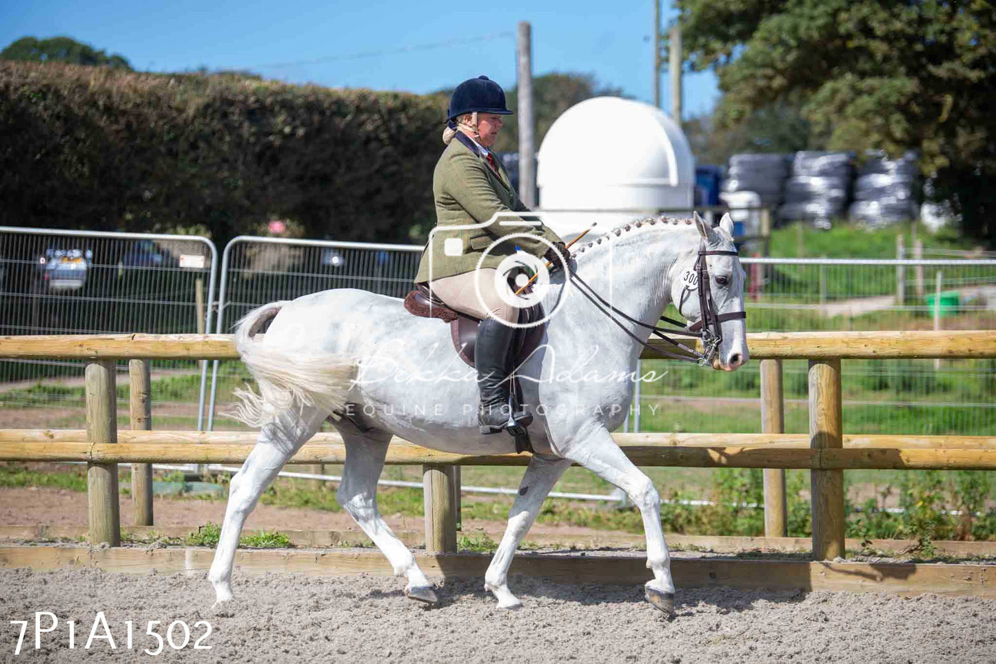 Home Farm Annual Show -Ridden Showing 20th August 2023