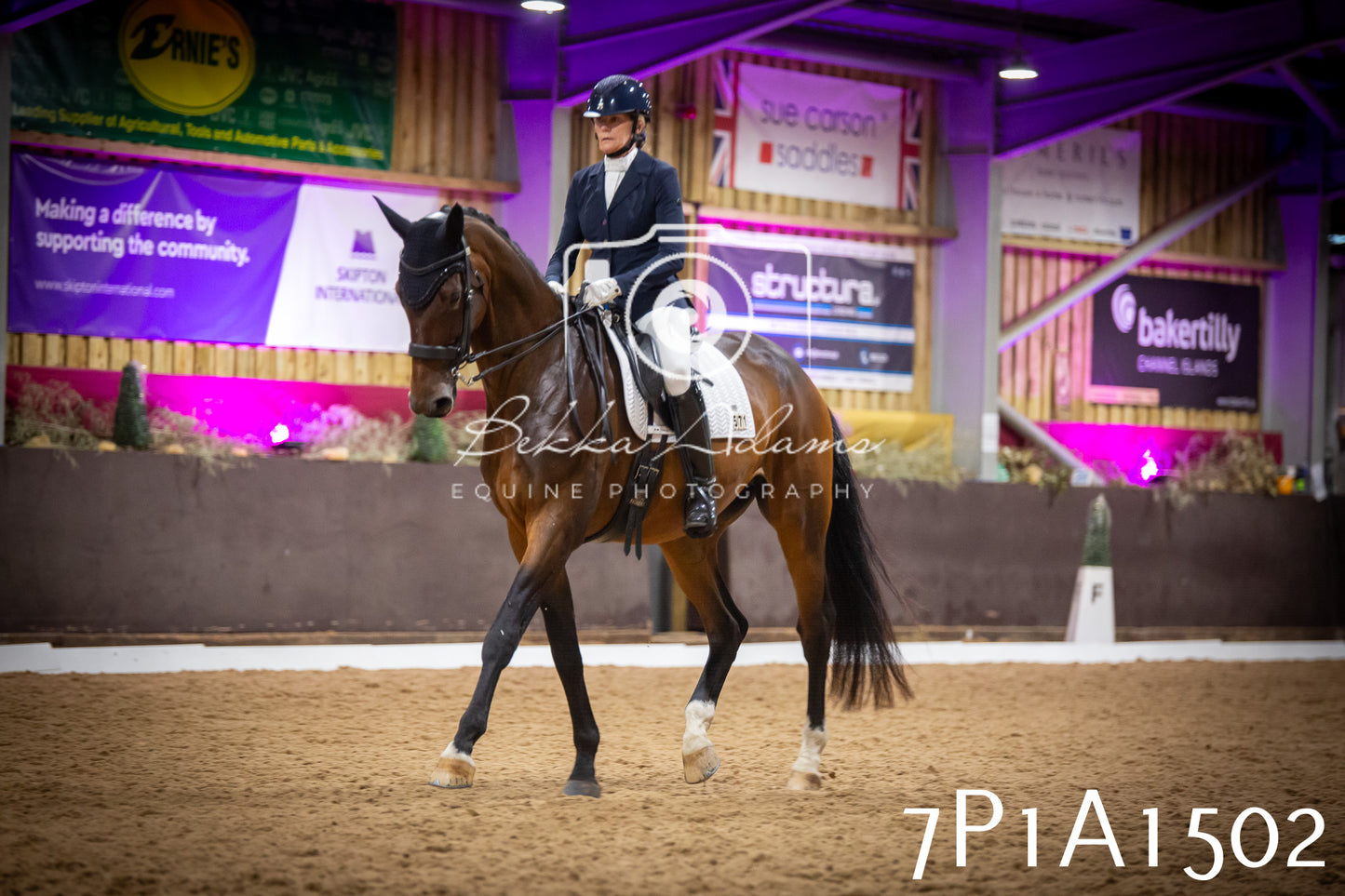 JHOYS 2025 - Dressage - 14th September pt2