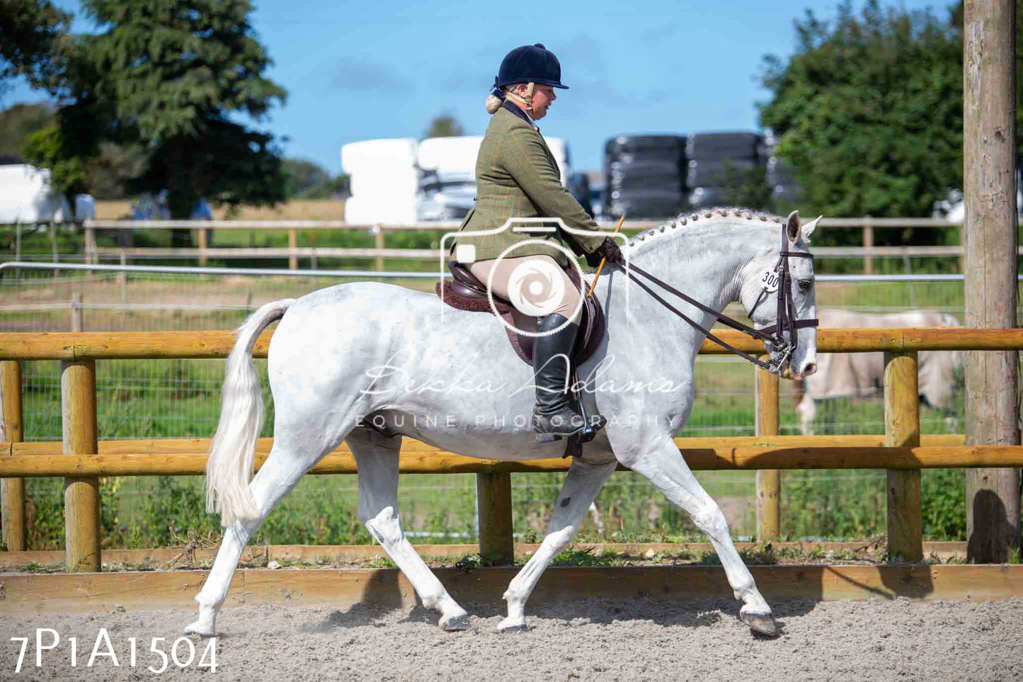 Home Farm Annual Show -Ridden Showing 20th August 2023