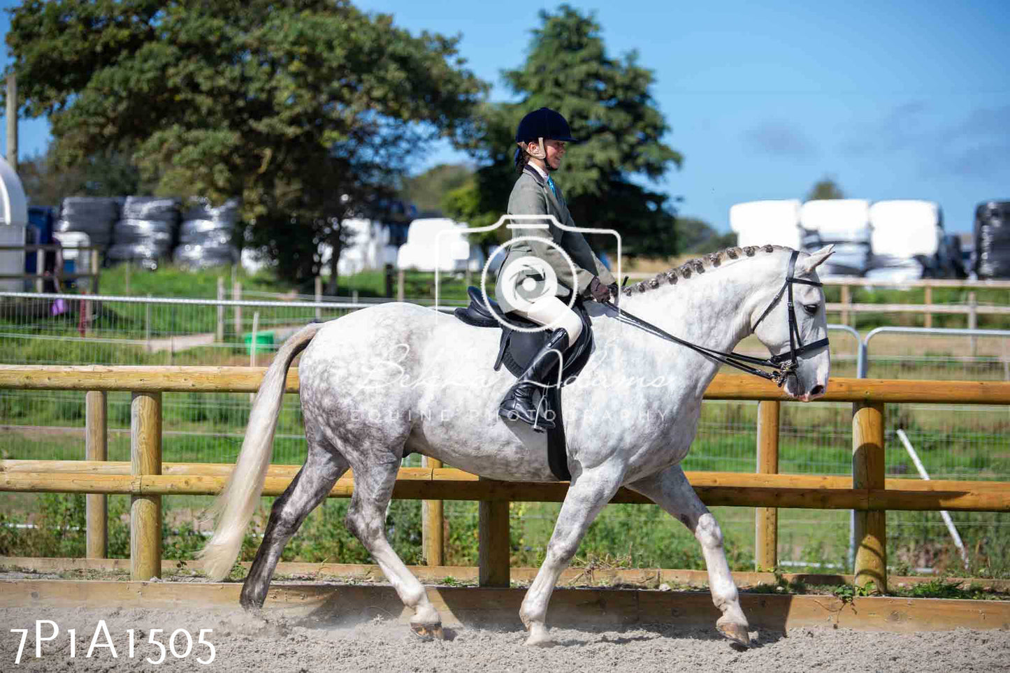 Home Farm Annual Show -Ridden Showing 20th August 2023