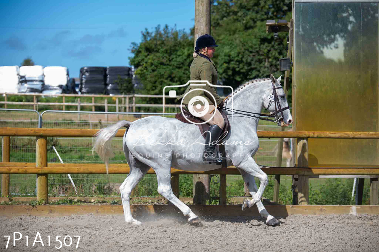 Home Farm Annual Show -Ridden Showing 20th August 2023