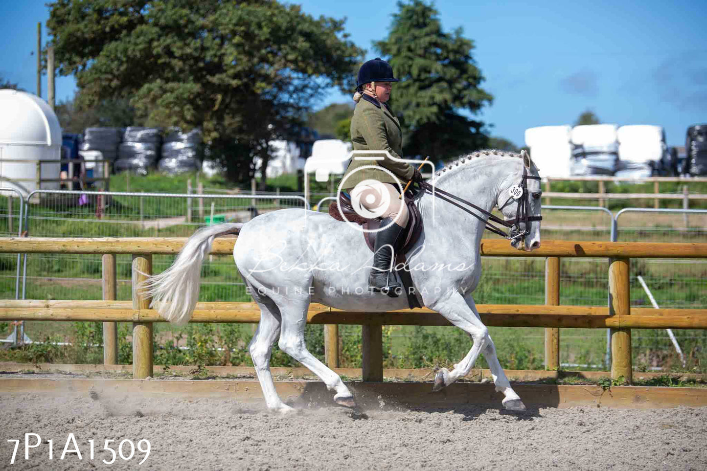 Home Farm Annual Show -Ridden Showing 20th August 2023