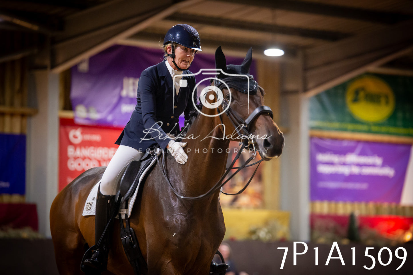JHOYS 2025 - Dressage - 14th September pt2