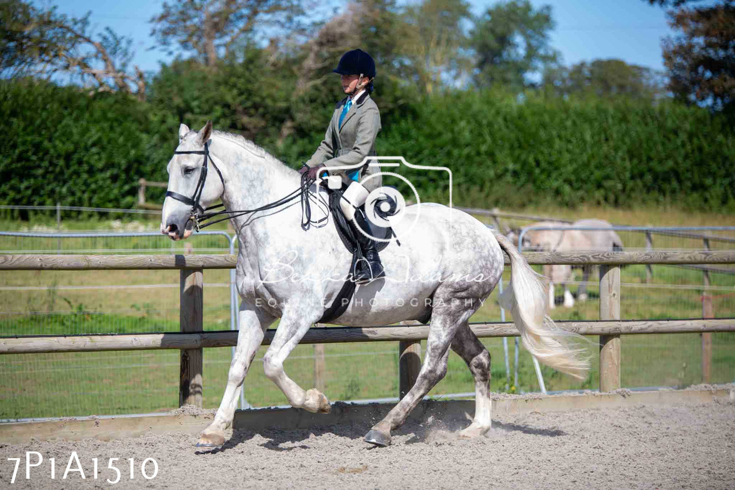 Home Farm Annual Show -Ridden Showing 20th August 2023