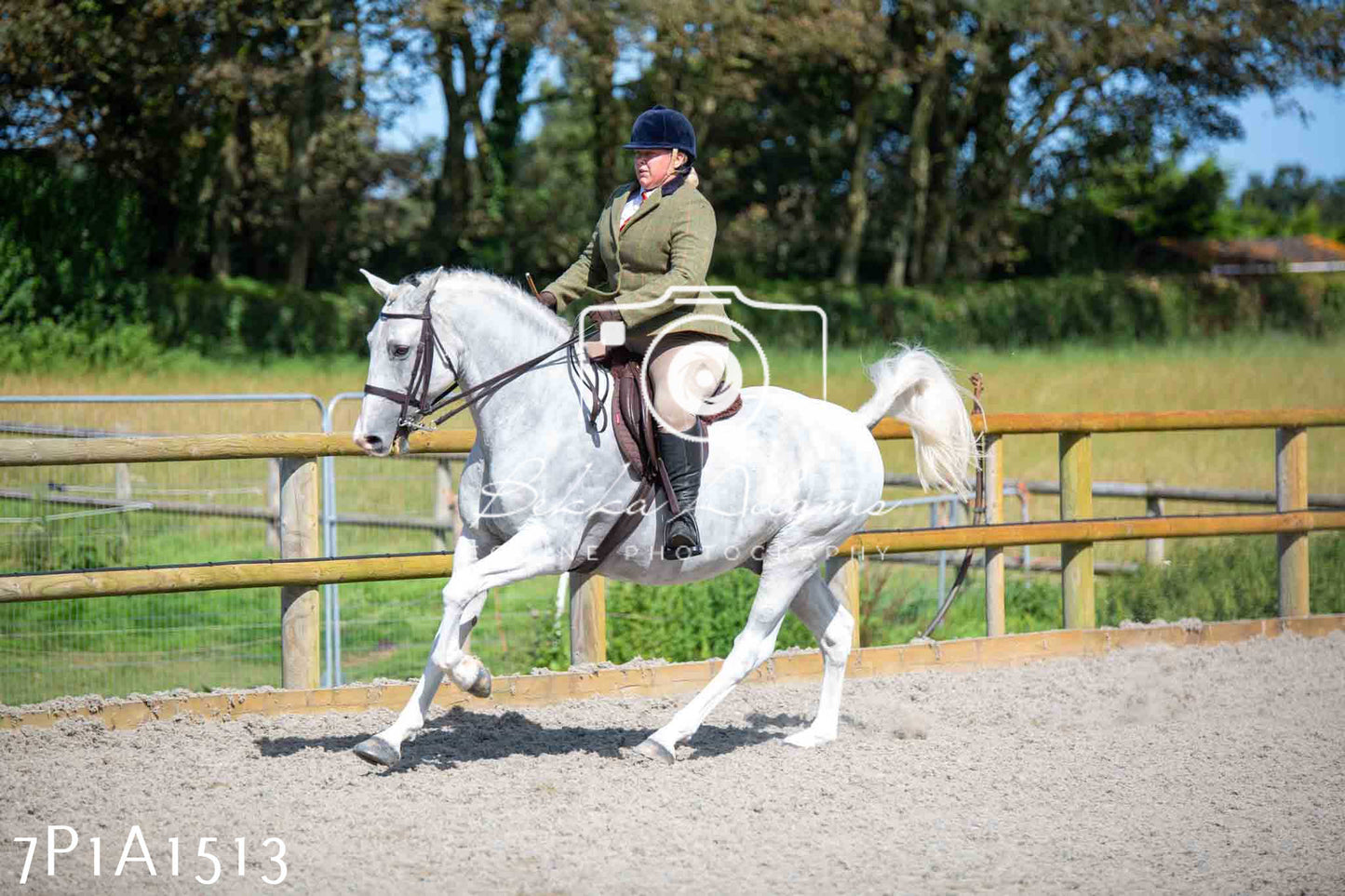 Home Farm Annual Show -Ridden Showing 20th August 2023
