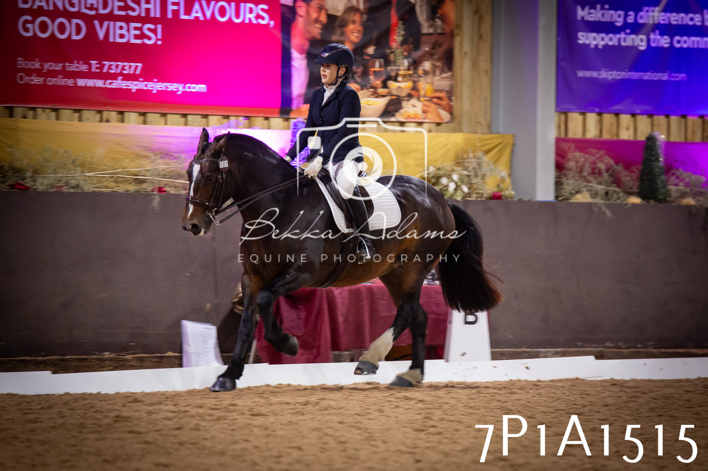 JHOYS 2025 - Dressage - 14th September pt2