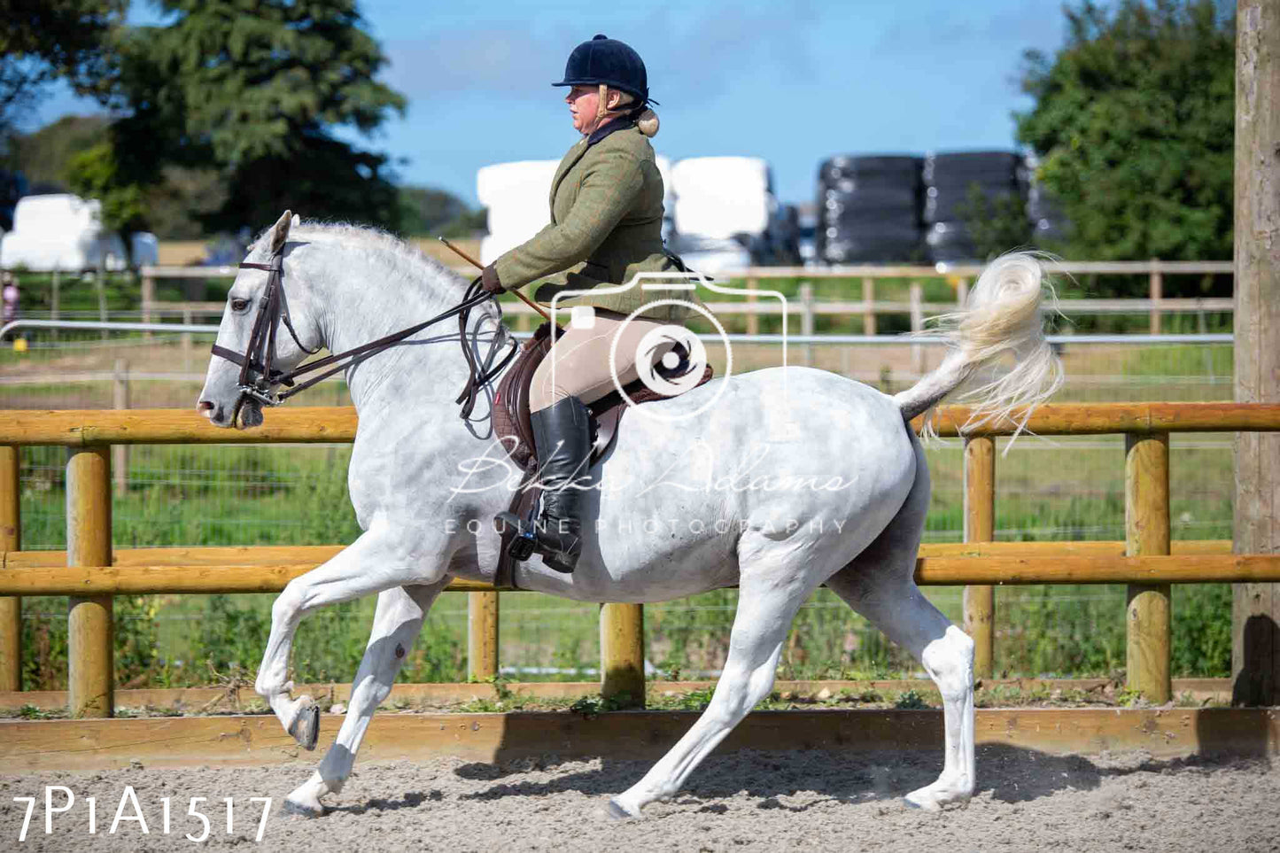 Home Farm Annual Show -Ridden Showing 20th August 2023