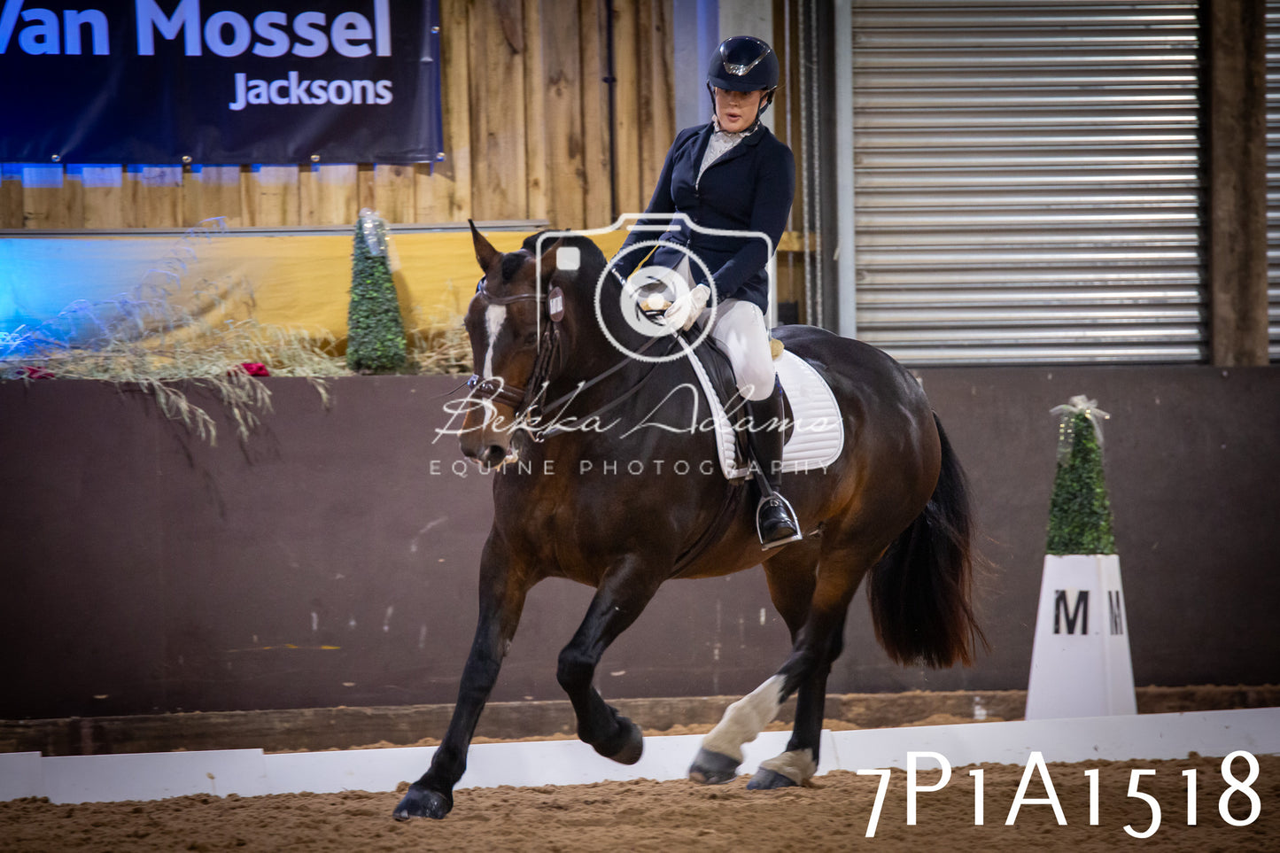 JHOYS 2025 - Dressage - 14th September pt2