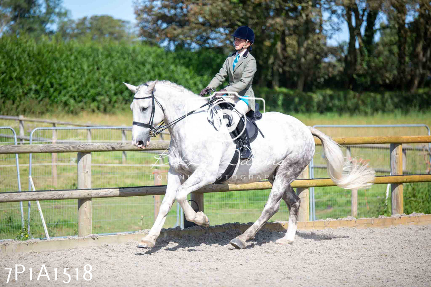Home Farm Annual Show -Ridden Showing 20th August 2023