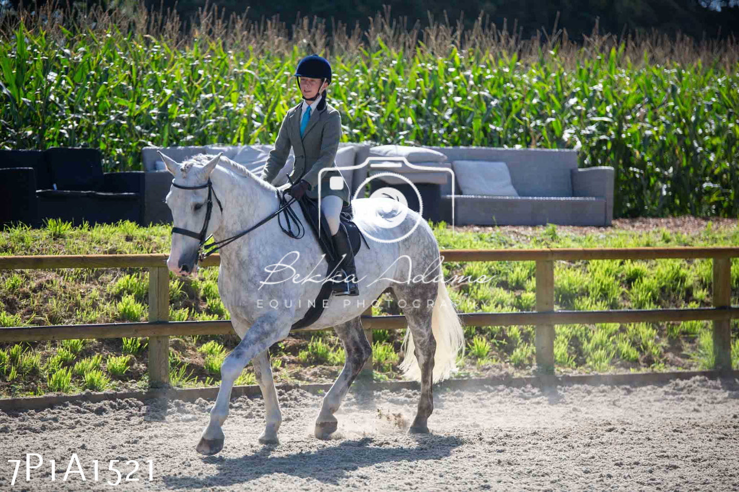Home Farm Annual Show -Ridden Showing 20th August 2023