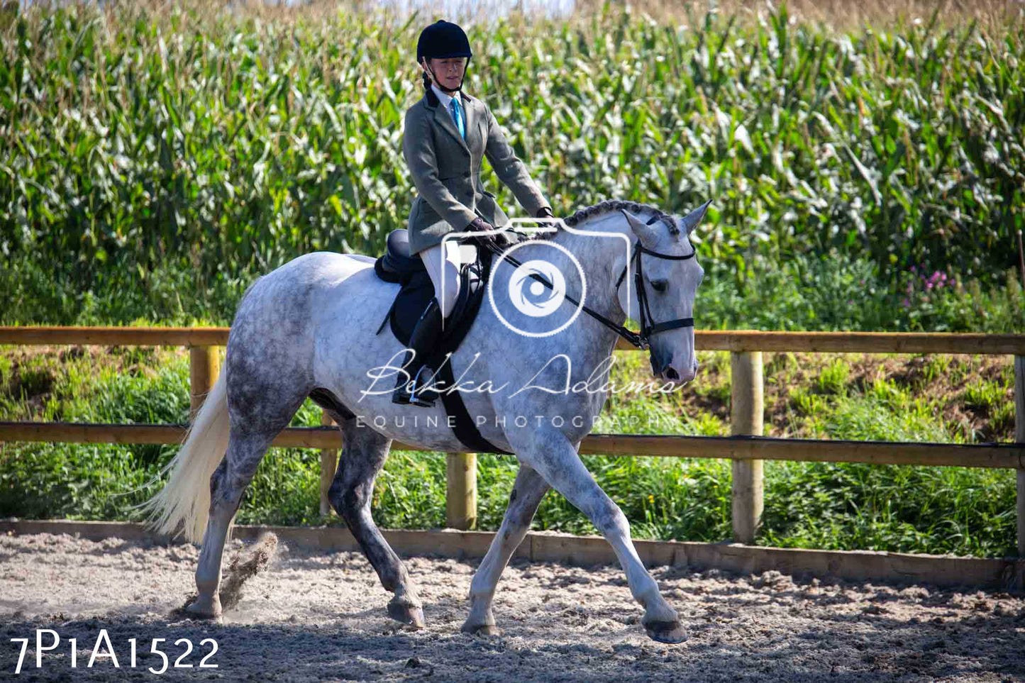 Home Farm Annual Show -Ridden Showing 20th August 2023