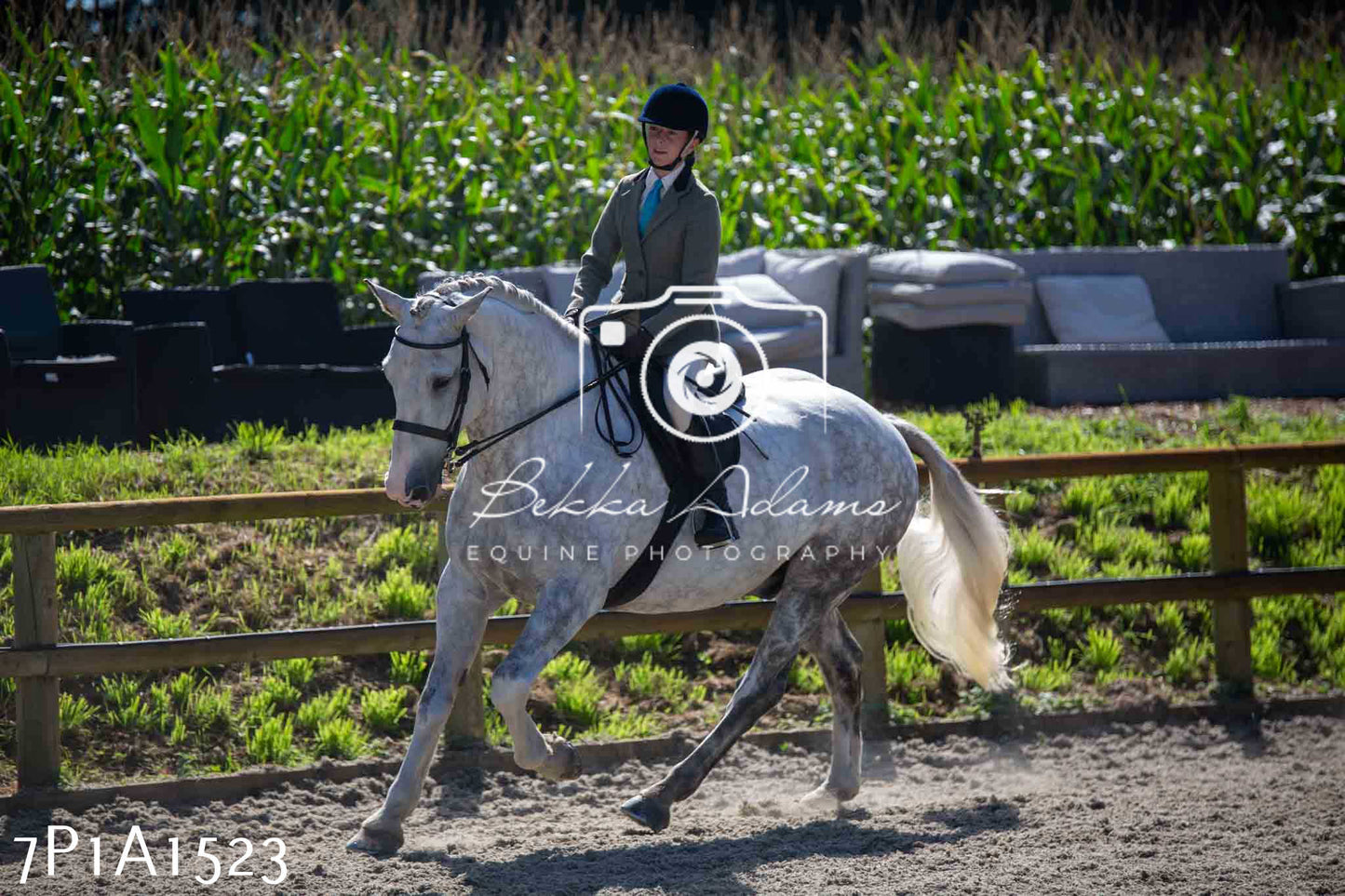 Home Farm Annual Show -Ridden Showing 20th August 2023