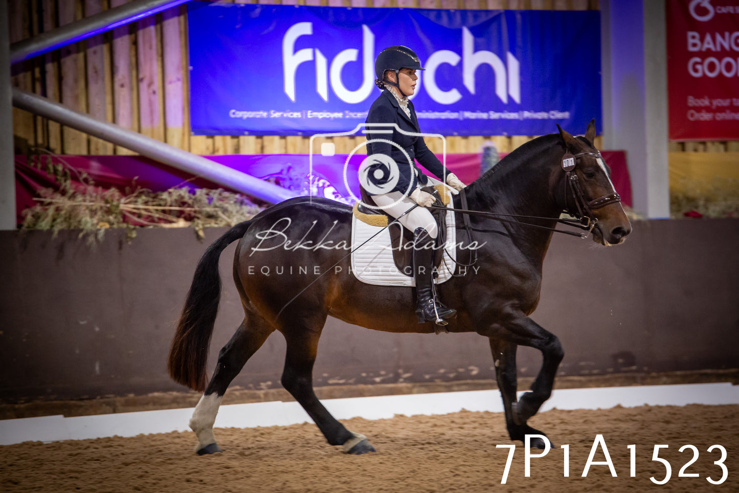 JHOYS 2025 - Dressage - 14th September pt2