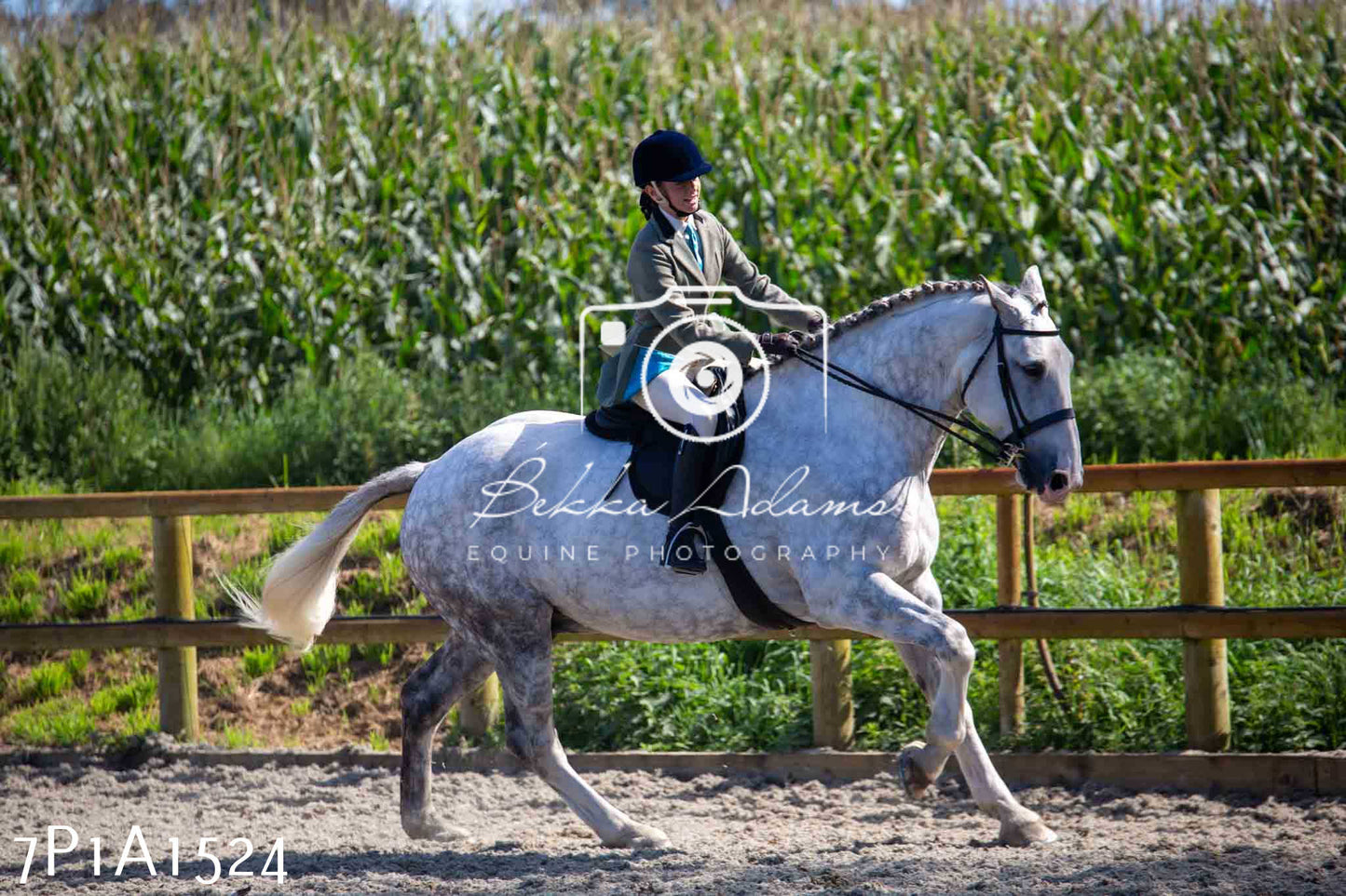Home Farm Annual Show -Ridden Showing 20th August 2023