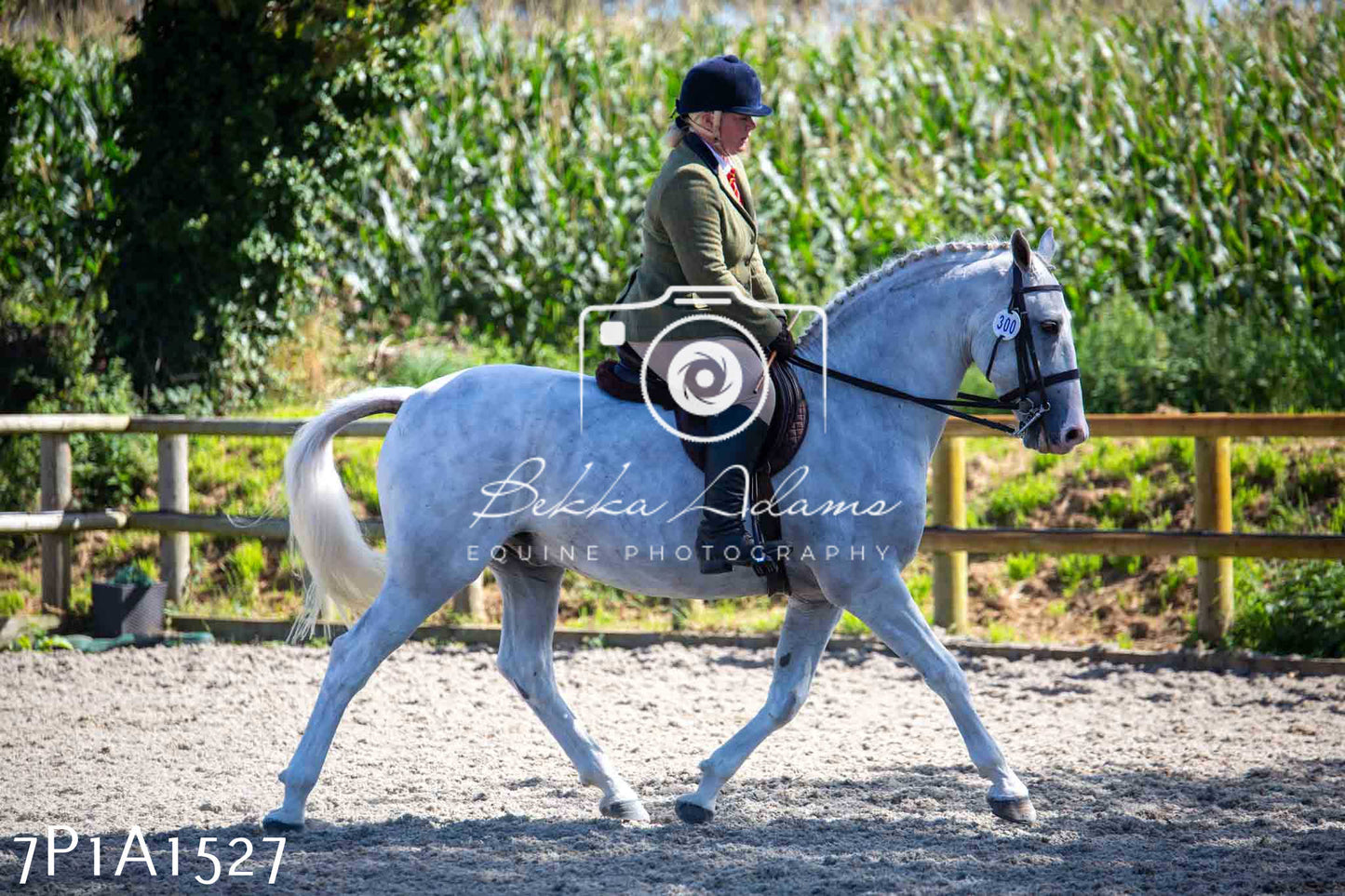 Home Farm Annual Show -Ridden Showing 20th August 2023