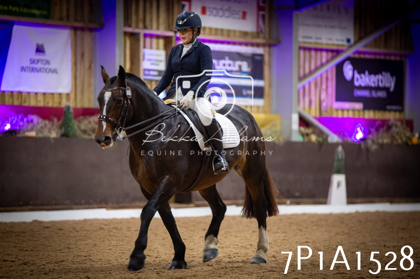 JHOYS 2025 - Dressage - 14th September pt2