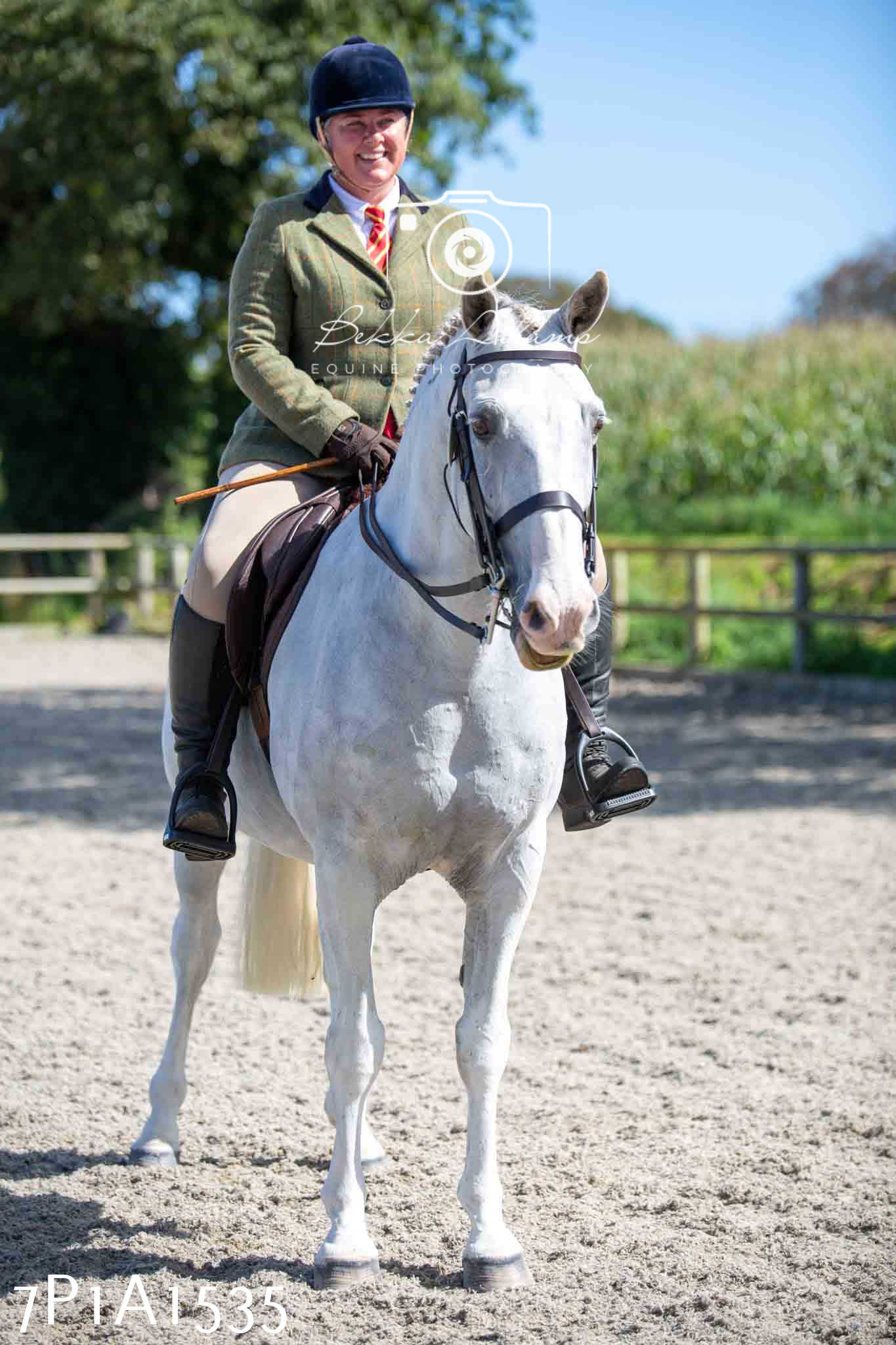 Home Farm Annual Show -Ridden Showing 20th August 2023