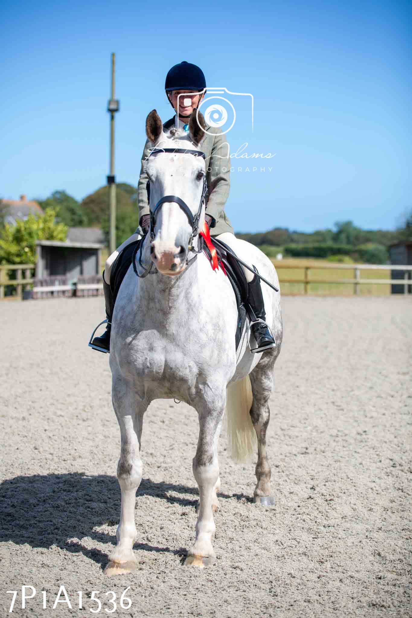 Home Farm Annual Show -Ridden Showing 20th August 2023