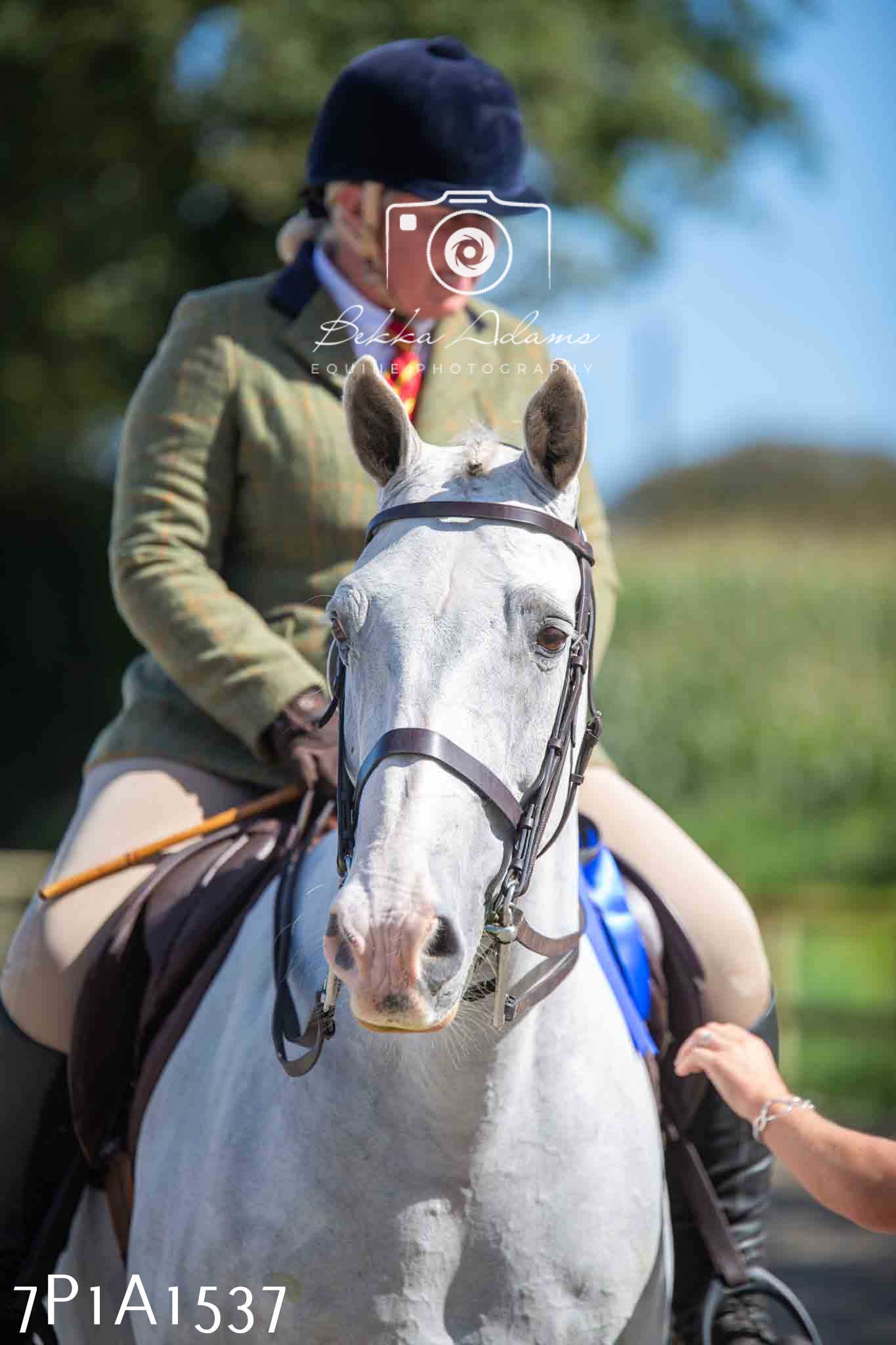 Home Farm Annual Show -Ridden Showing 20th August 2023