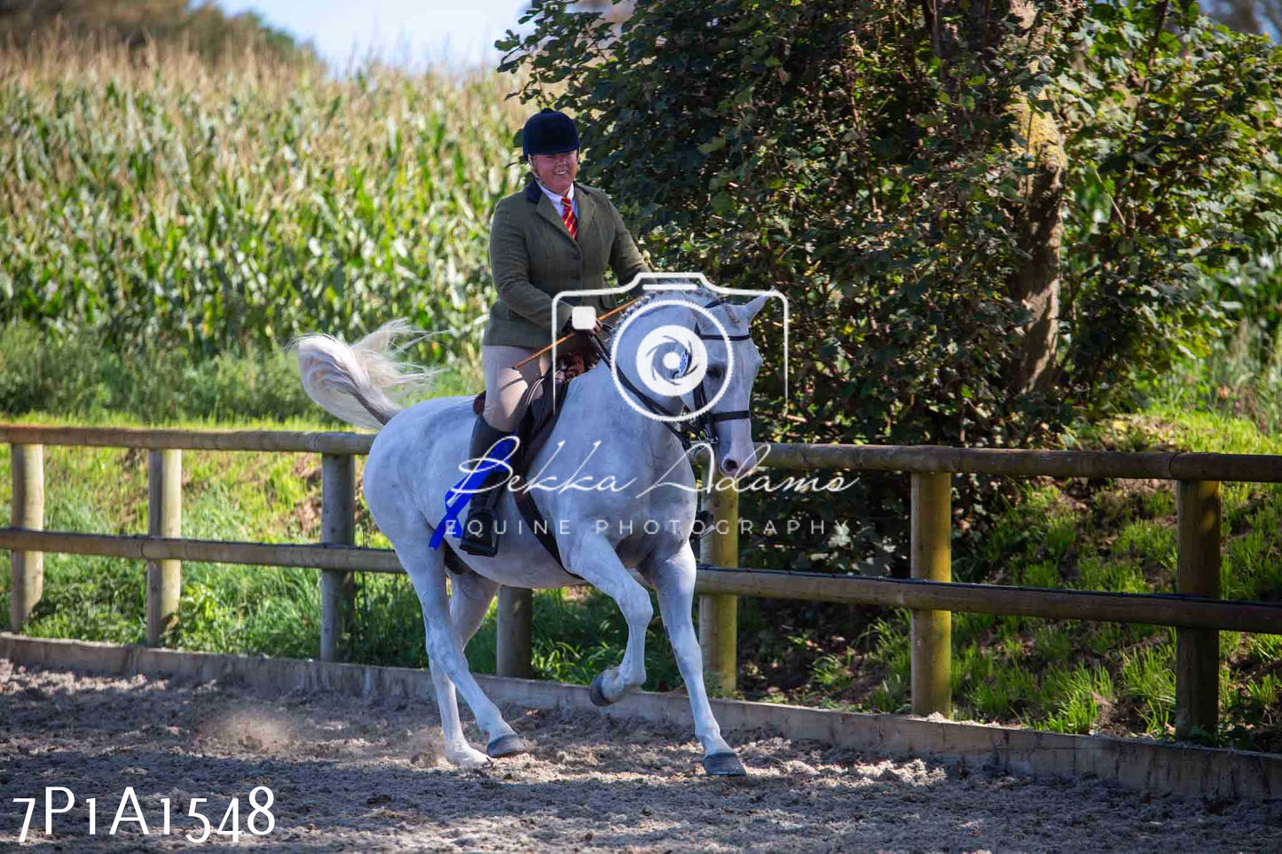 Home Farm Annual Show -Ridden Showing 20th August 2023