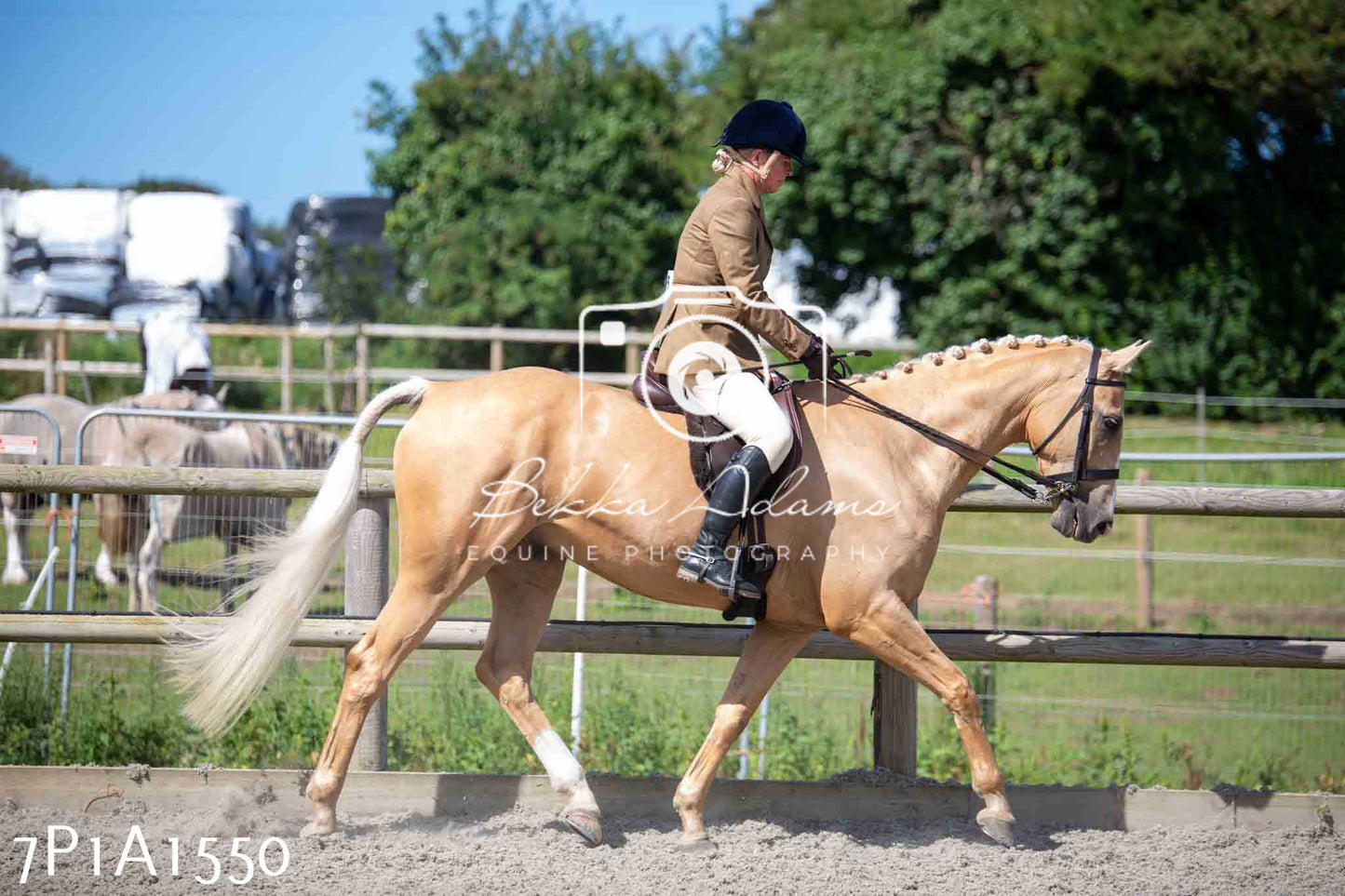 Home Farm Annual Show -Ridden Showing 20th August 2023