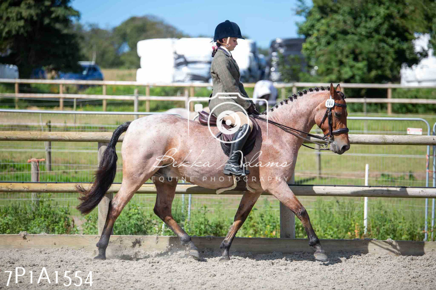 Home Farm Annual Show -Ridden Showing 20th August 2023