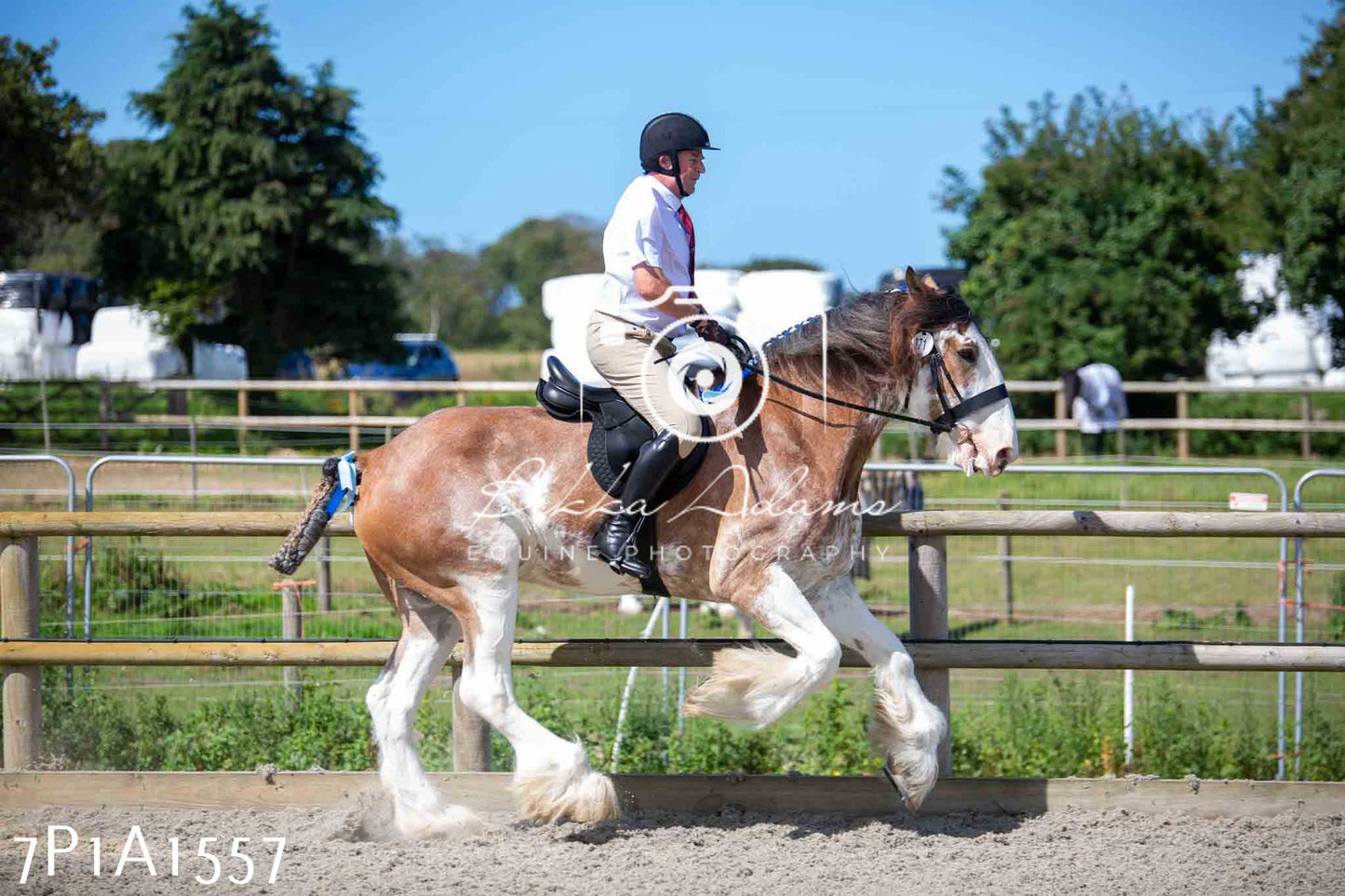 Home Farm Annual Show -Ridden Showing 20th August 2023