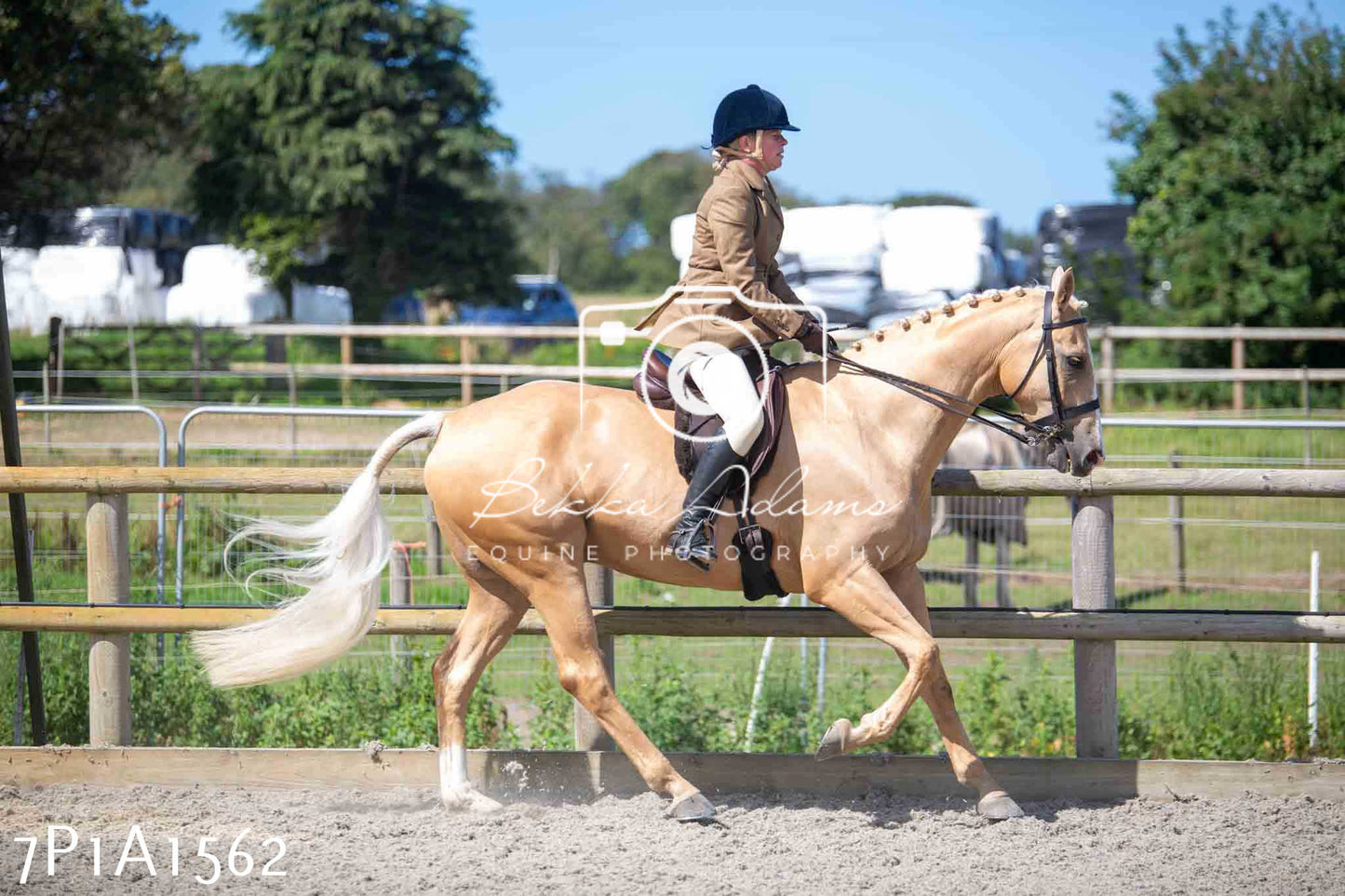 Home Farm Annual Show -Ridden Showing 20th August 2023