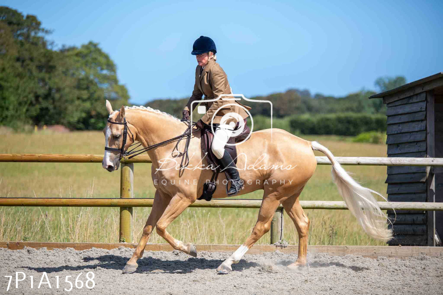 Home Farm Annual Show -Ridden Showing 20th August 2023