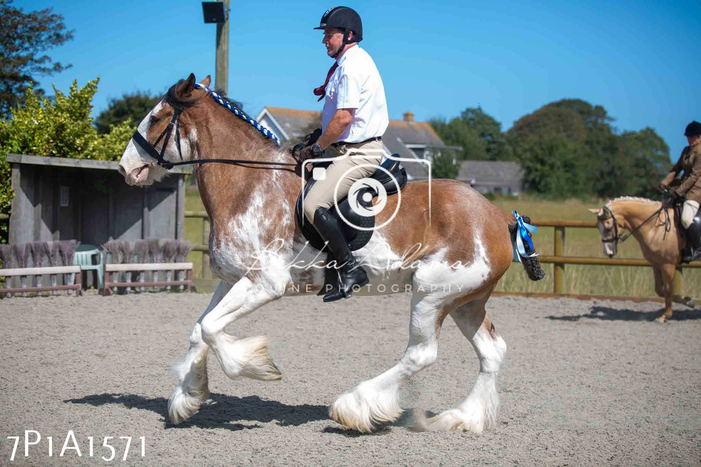 Home Farm Annual Show -Ridden Showing 20th August 2023