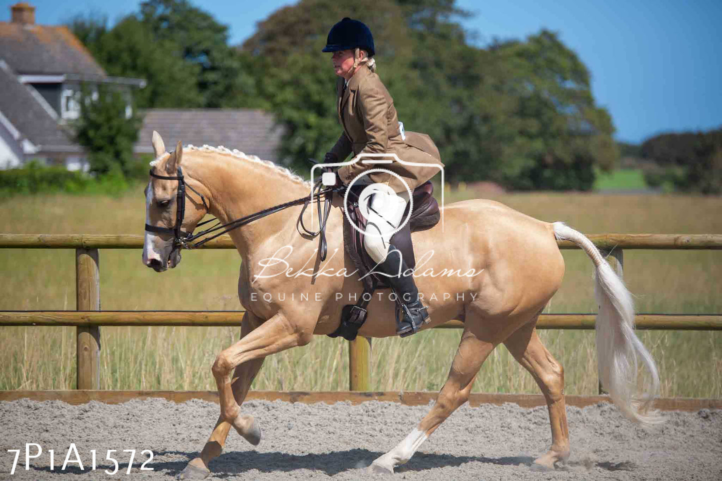 Home Farm Annual Show -Ridden Showing 20th August 2023