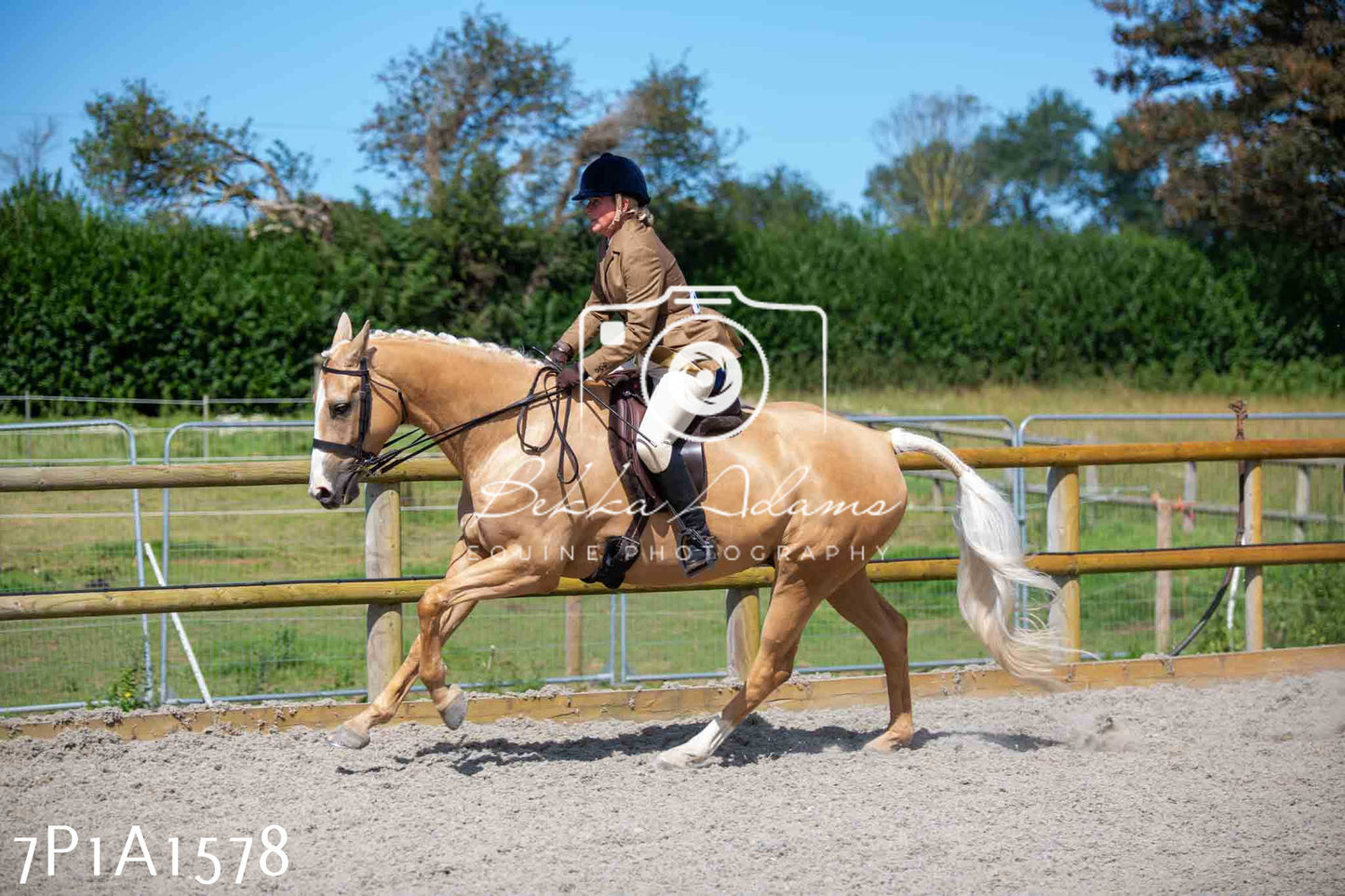 Home Farm Annual Show -Ridden Showing 20th August 2023