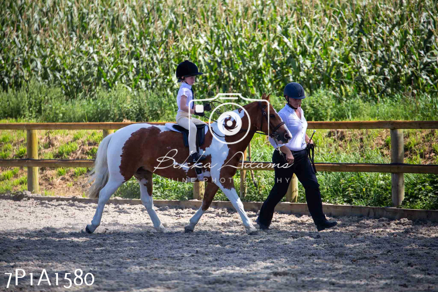 Home Farm Annual Show -Ridden Showing 20th August 2023