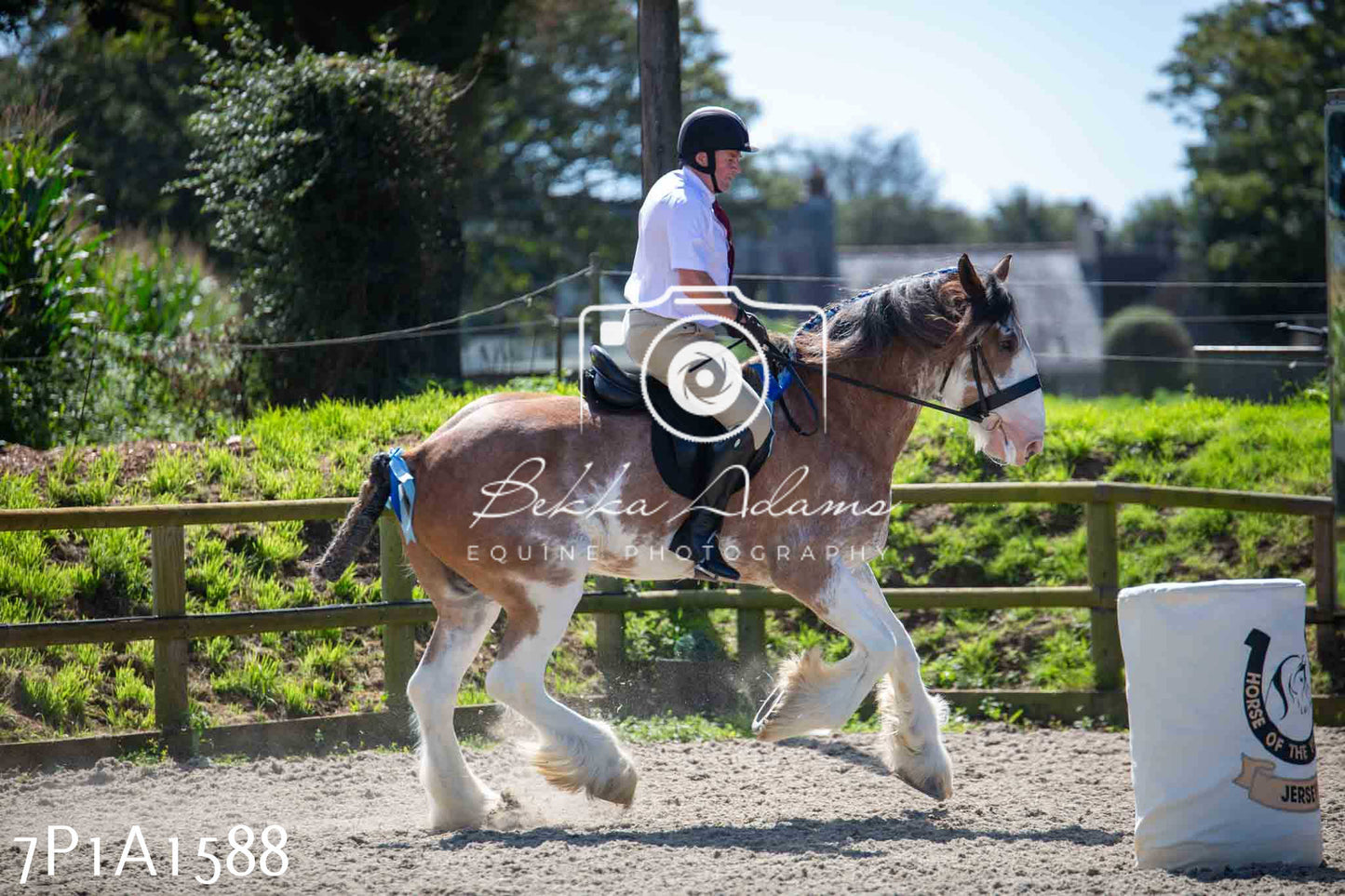 Home Farm Annual Show -Ridden Showing 20th August 2023