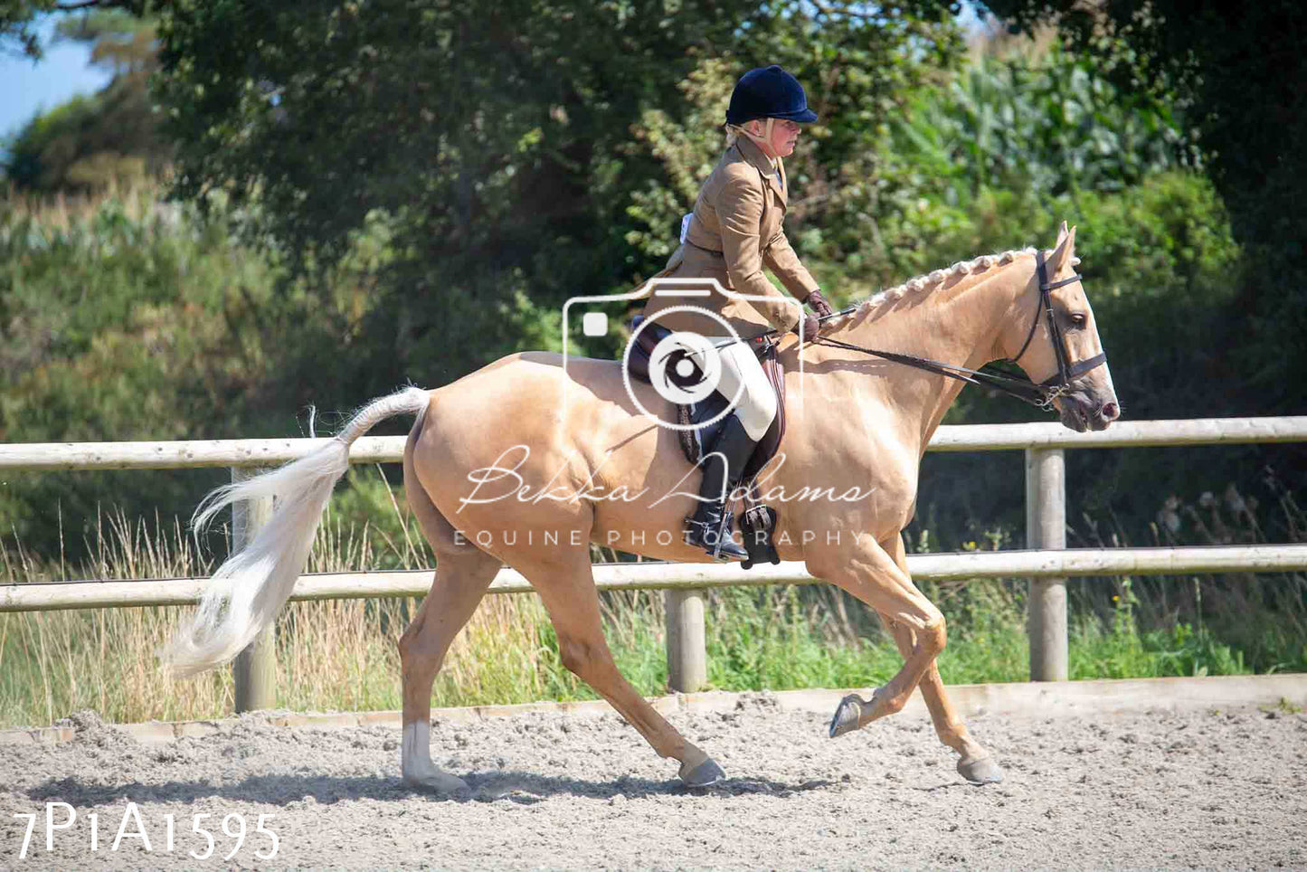 Home Farm Annual Show -Ridden Showing 20th August 2023