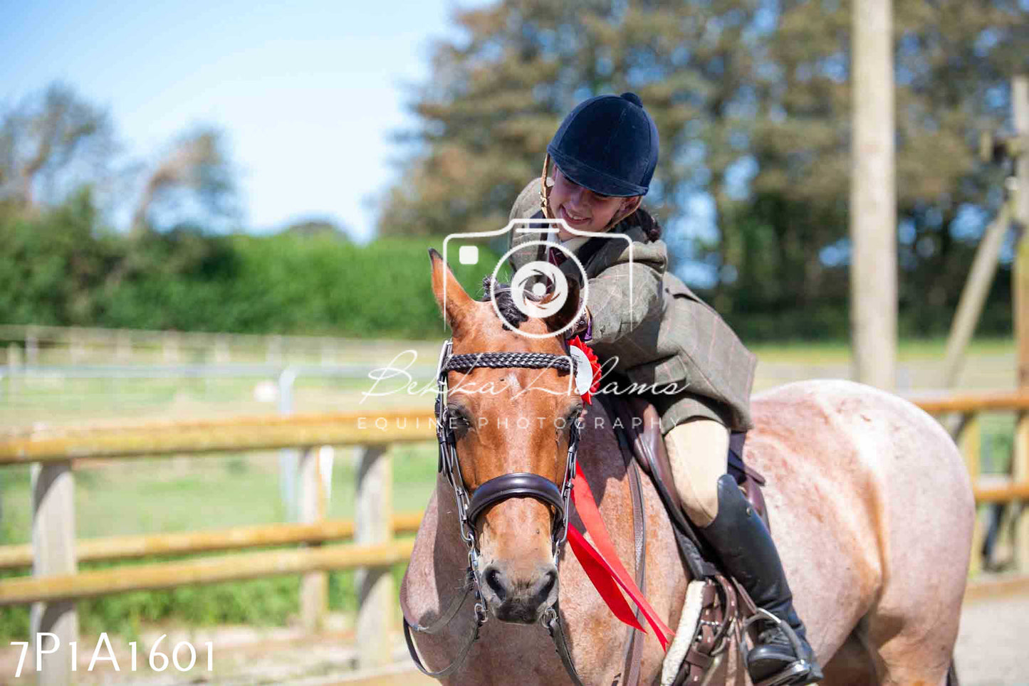 Home Farm Annual Show -Ridden Showing 20th August 2023
