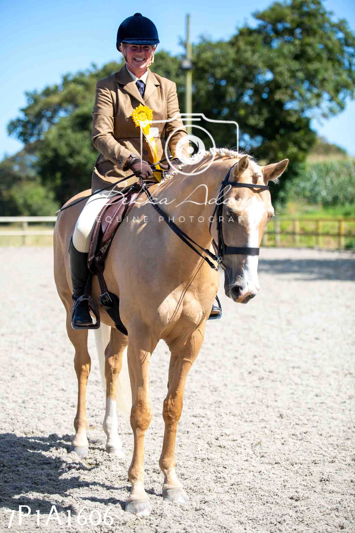 Home Farm Annual Show -Ridden Showing 20th August 2023