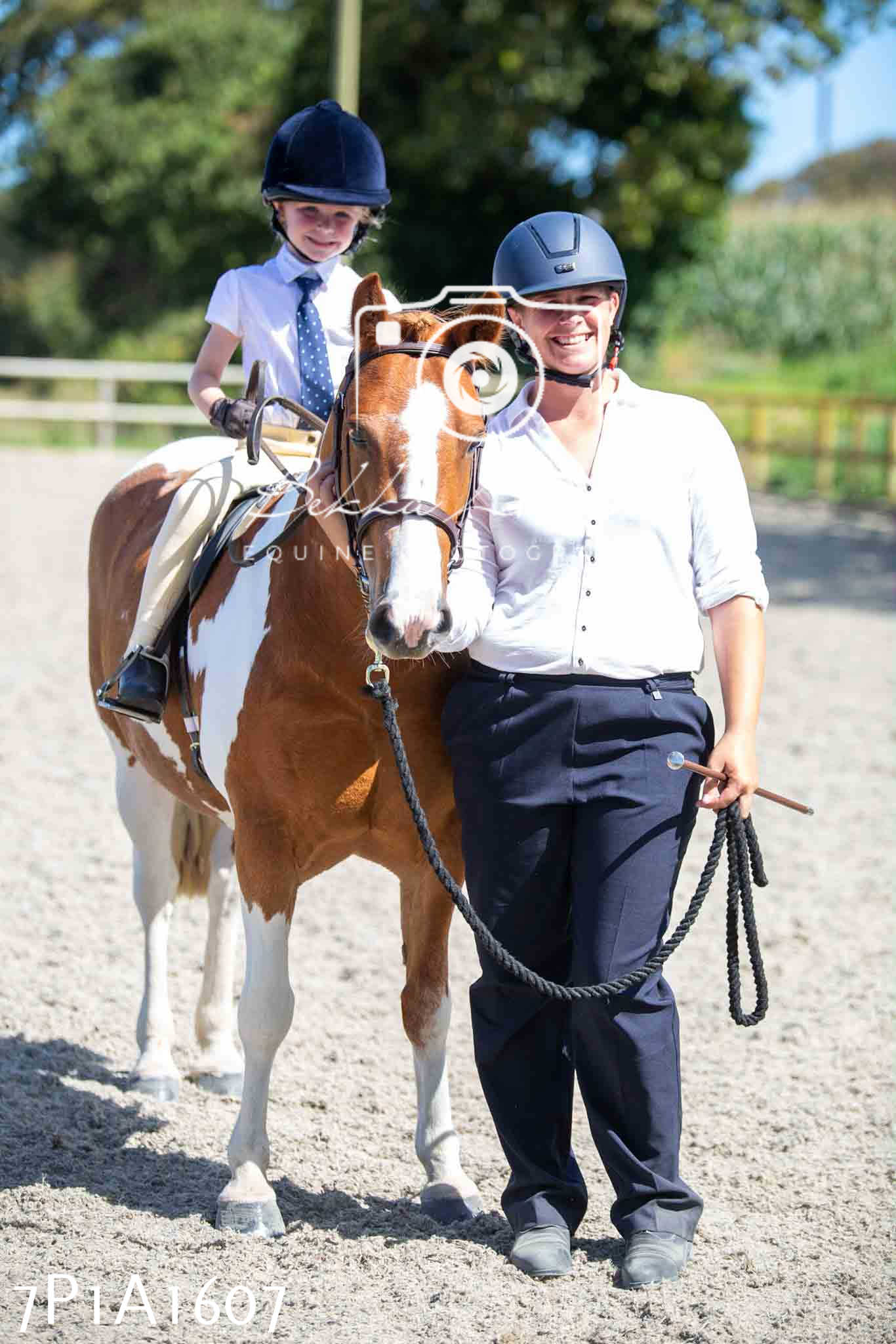 Home Farm Annual Show -Ridden Showing 20th August 2023