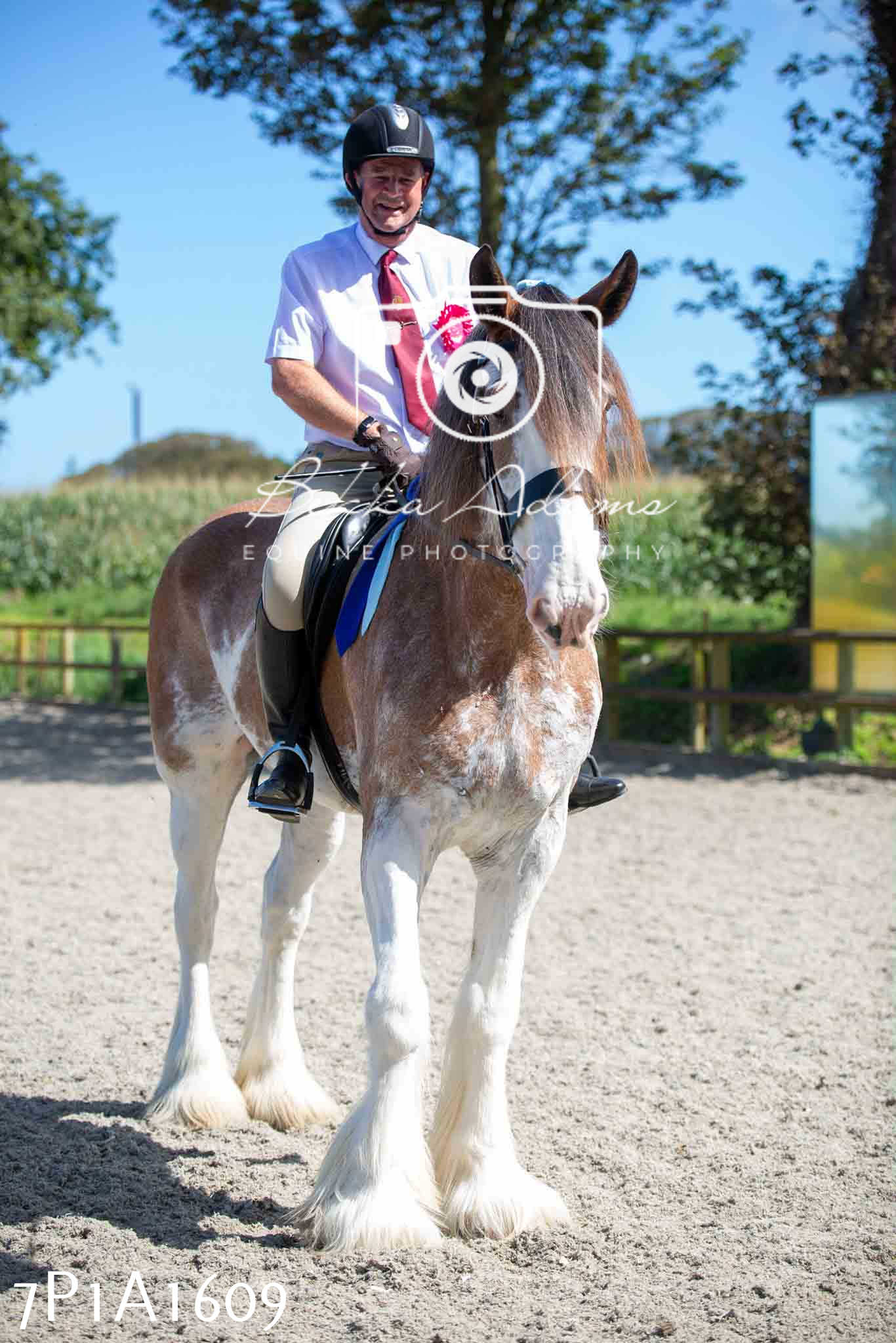 Home Farm Annual Show -Ridden Showing 20th August 2023