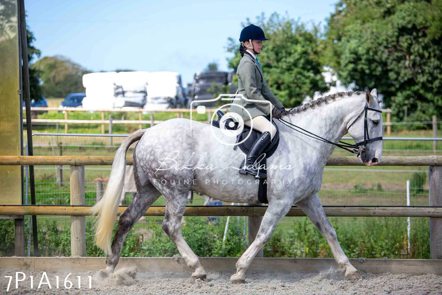 Home Farm Annual Show -Ridden Showing 20th August 2023