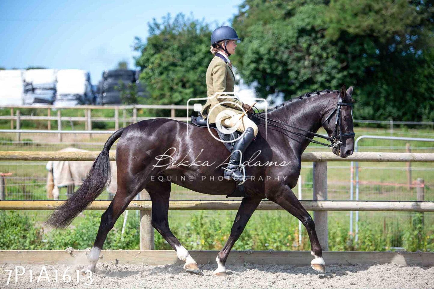 Home Farm Annual Show -Ridden Showing 20th August 2023