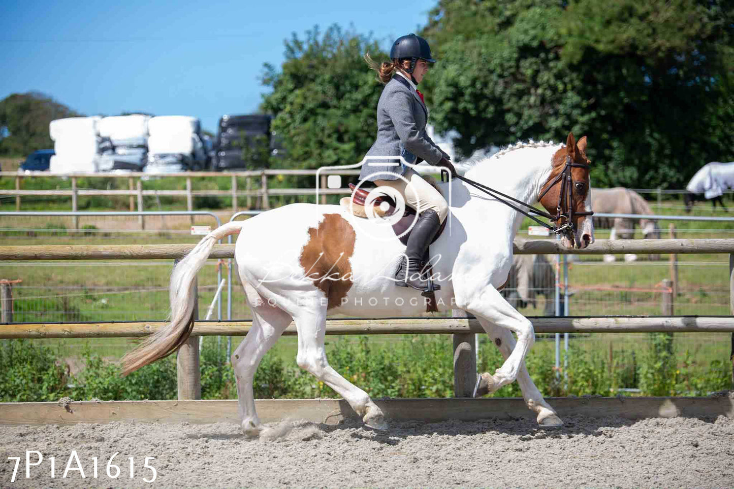 Home Farm Annual Show -Ridden Showing 20th August 2023