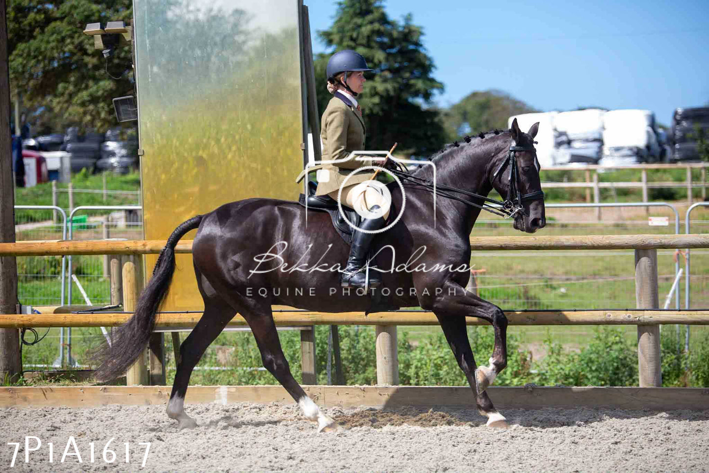Home Farm Annual Show -Ridden Showing 20th August 2023