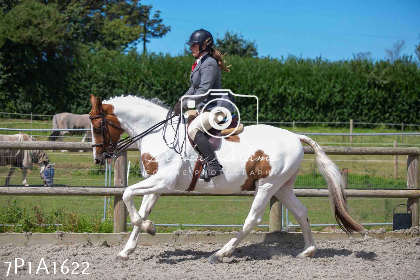 Home Farm Annual Show -Ridden Showing 20th August 2023
