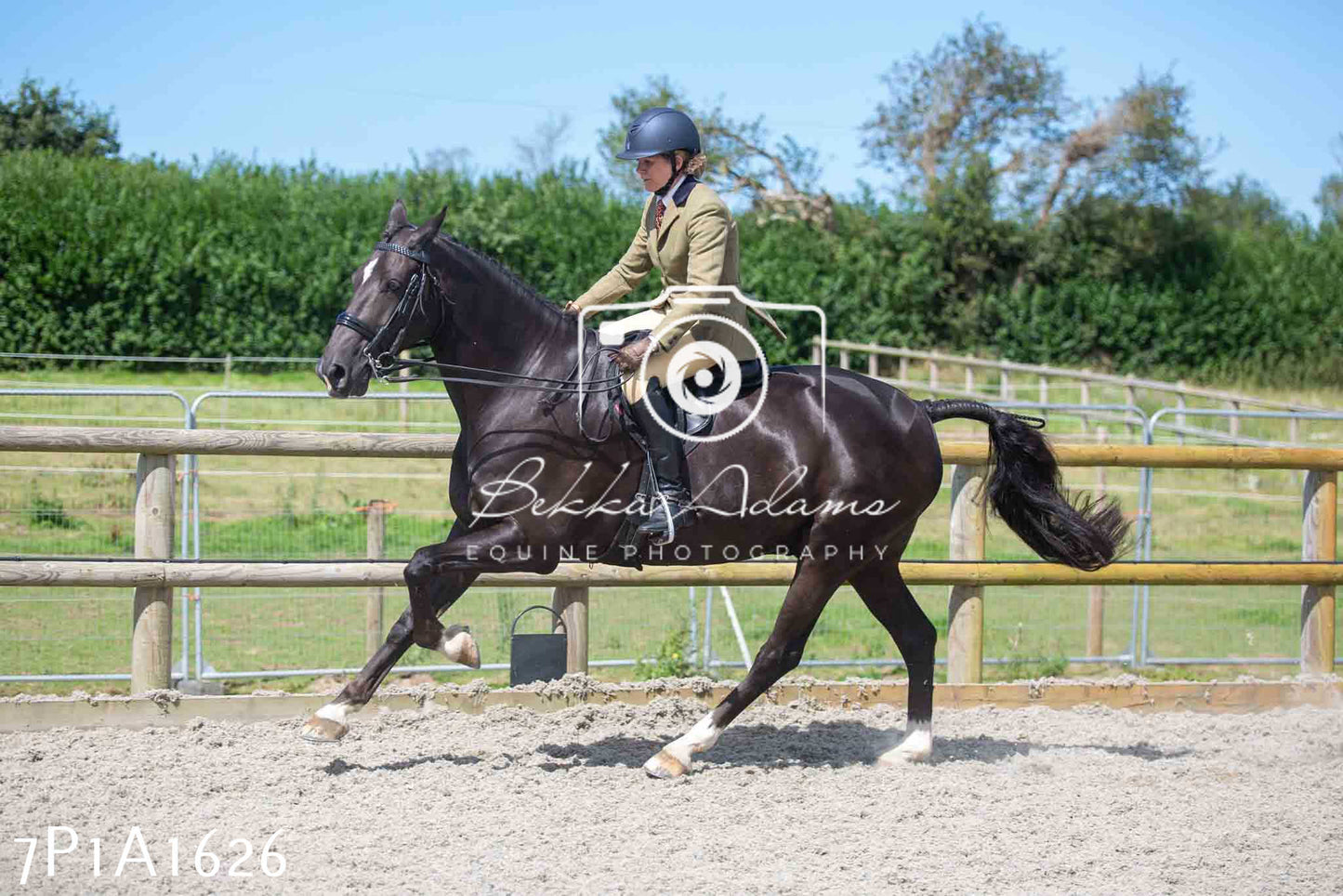 Home Farm Annual Show -Ridden Showing 20th August 2023